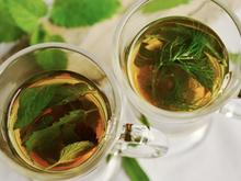 Chá de embaúba: um tesouro natural ainda pouco estudado dessa planta nativa