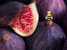 Você nunca mais vai olhar para o figo do mesmo jeito depois que souber disso