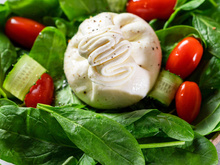 Burrata gratinada com espinafre