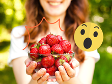 "Morangos podem ser treinados": cientista prova que plantas pensam e são inteligentes