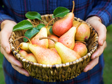 Raúl Cárdaba, vendedor de frutas: “Para encontrar uma boa pera, procure aquelas que são mais compridas do que largas, porque tendem a ser mais doces.”