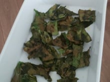 Chips de couve