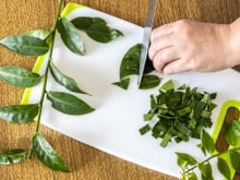 "Mentiram pra você sobre ora-pro-nóbis": planta não é o "bife dos pobres" como muita gente fala por aí e esse biomédico explica