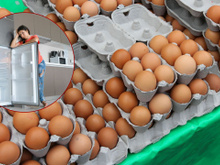 O ovo não é guardado nas geladeiras dos mercados, mas deve ser na sua casa e aqui está o motivo!
