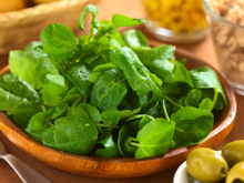 Agrião: conheça os benefícios e as melhores receitas