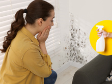 Parede cheia de bolor que chega a dar desespero: solução simples, com apenas 1 ingrediente que todo mundo tem em casa, resolve de um jeito impressionante