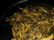 Shimeji na manteiga fantástico