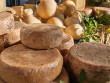 O queijo italiano considerado o mais perigoso do mundo: é uma iguaria para alguns, mas foi proibido em seu país de origem pela presença de um "ingrediente" polêmico