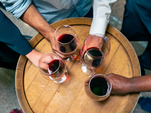 Mantenha seu vinho na temperatura certa! Confira 3 opções de adegas para você ter em casa