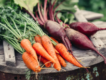 Talos e folhas: veja as dicas de como reaproveitá-los