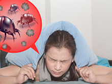 Adeus ácaros e aranhas na cama: o truque caseiro de um especialista em limpeza doméstica é a solução para acabar com esses bichos