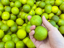 Como saber se um limão tem bastante suco? Aqui estão algumas dicas para escolher limões antes de comprá-los – você pode observar a diferença sem precisar cortá-los