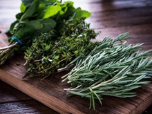 Temperos para cultivar em casa: saiba como e quais os tipos