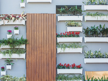 Jardim vertical: confira como fazer um na sua casa