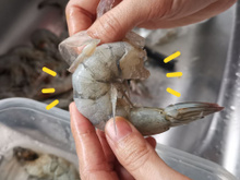 Com quantos anos você descobriu que esse é o jeito mais fácil de limpar camarão?