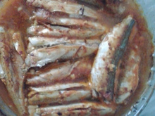 Cavalinha ao molho de tomate