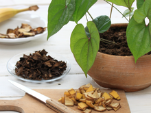 A casca de banana tem mais nutrientes do que você pensa e fica uma delícia nas receitas: descubra agora como usá-la