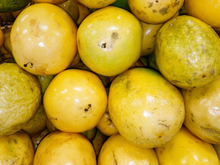 Maracujá de casca lisa ou enrugada? O segredo dos feirantes para escolher a fruta no ponto certo