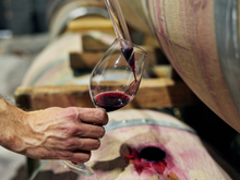 “Invista em cerejas, pistaches, crie gado”: ​​em uma província, produtores estão abandonando o vinho e mudando de ramo de atividade