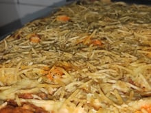 Escondisanha