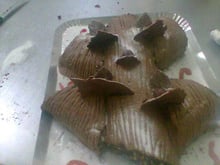Tronco de chocolate