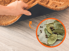 Nunca entendi por que minha avó colocava folha de louro debaixo do tapete até eu testar em casa