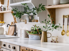 Segundo o Feng Shui, essas são as plantas que vão trazer harmonia para a sua cozinha!