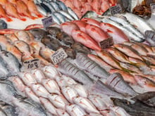 José María Sánchez, dono de uma peixaria: “Metade do peixe é vendido no supermercado, e não porque seja melhor.”
