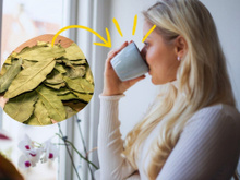 O que acontece se você tomar chá de louro todos os dias: entenda benefícios, efeitos colaterais e saiba como fazer a infusão