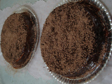 Torta Alemã
