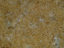 Capeletti ao molho de queijo