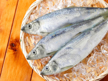 Antigamente, era visto com desdém como um peixe de pobre e não era consumido pela classe alta. No entanto, é uma das melhores fontes de alimento