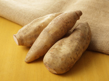 Batata yacon: conheça seus benefícios para a saúde