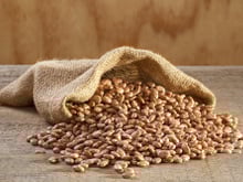 Por que o feijão carioca tem esse nome