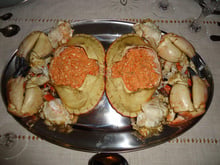 Sapateira - caranguejo