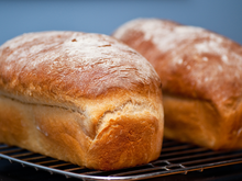 Coloque todos os ingredientes em uma tigela, amasse, espere e leve ao forno: fazer pão pode ser muito fácil!