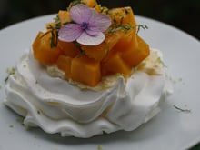 Pavlova de manga