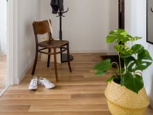 Esses são os truques para colocar plantas no corredor da sua casa mesmo que ele não tenha luz direta