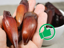 É temporada de pinhão! Esses são os benefícios de consumir a quantidade certa do alimento típico do outono