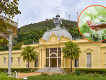 A cidade mineira com maior fonte de água com gás natural do mundo: águas têm propriedades terapêuticas e medicinais