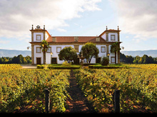 Enoturismo em Portugal: conheça mais sobre a Rota de Vinhos Verdes no país