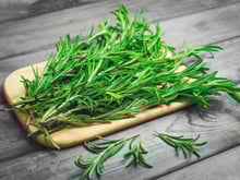 Conheça 5 plantas medicinais para ter em casa