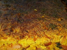 Torta salgada de salsicha