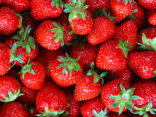 Essa é a quantidade de morango que você precisa comer para melhorar a memória e reduzir risco de demência, diz novo estudo