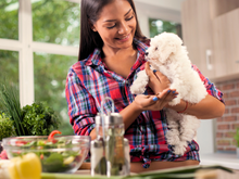 Celebre as festas de final de ano com o seu pet com estas opções de biscoitos caninos!