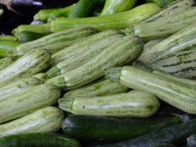 Muito melhor que na geladeira: as abobrinhas duram mais tempo quando armazenadas neste lugar