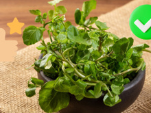 Qual é a melhor forma de comer agrião para preservar os seus benefícios?