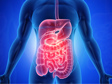 Nem bacon, nem maionese: "O que acumula gordura no fígado não é a gordura, a causa é o..."