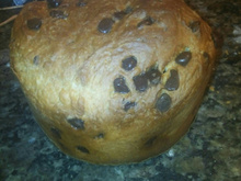 Panetone tipo tradicional