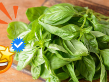 Muito além do aroma: os benefícios pouco conhecidos do manjericão vão te fazer incluir a erva nas suas receitas